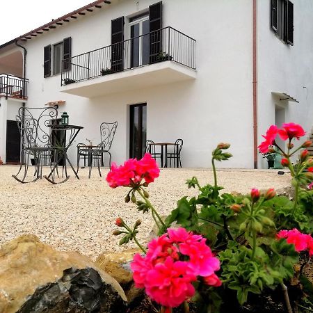 Agriturismo Podere Verdicchio Скансано Экстерьер фото
