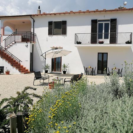 Agriturismo Podere Verdicchio Скансано Экстерьер фото