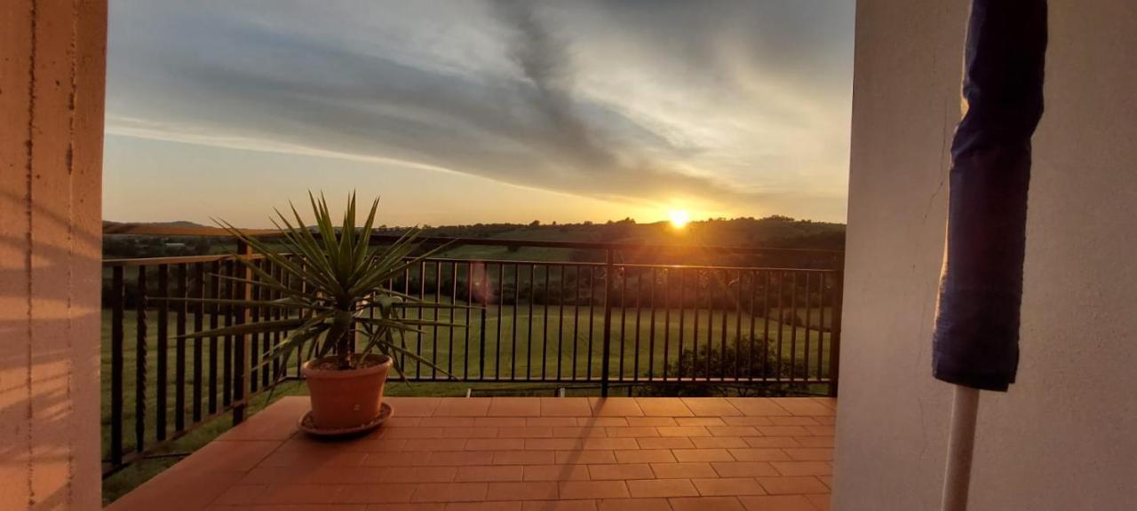Agriturismo Podere Verdicchio Скансано Экстерьер фото