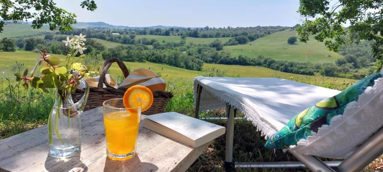 Agriturismo Podere Verdicchio Скансано Экстерьер фото